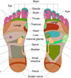 Kenko Reflexology & Fish Spa