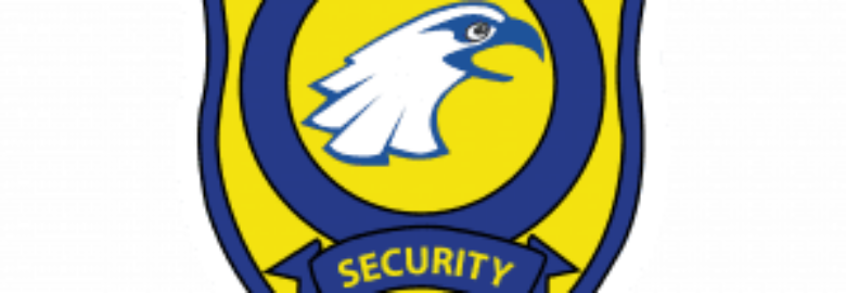 VISI L.A. Security Force